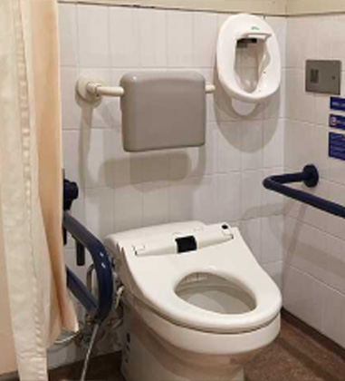 3D打印厕所都是按照国家颁布的厕所标准的样式进行布局，厕所内部多设有第三卫生间，内部含扶手、残疾人便器、婴儿护理台等